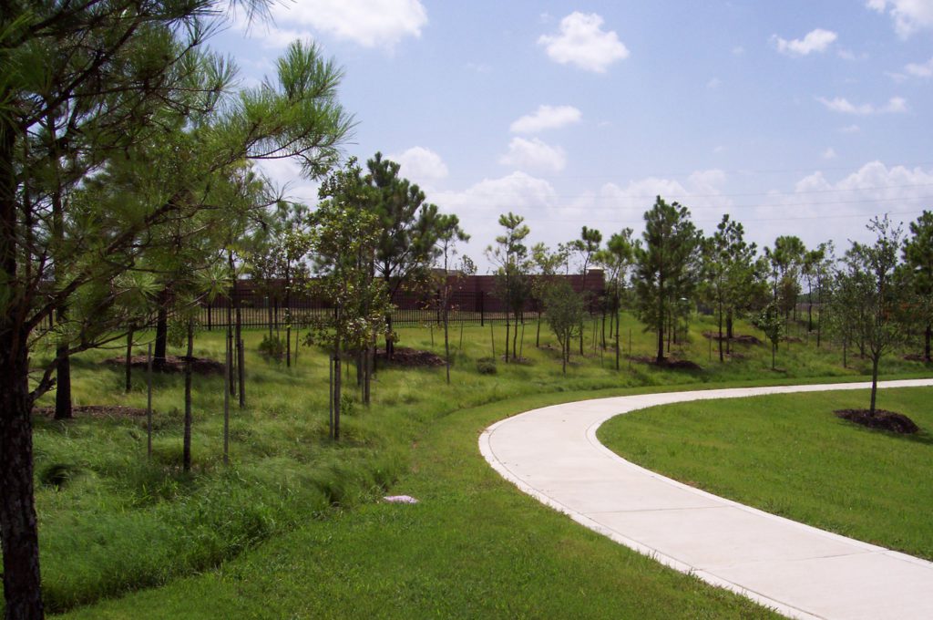 Hydro Mulch in a manicured landscape